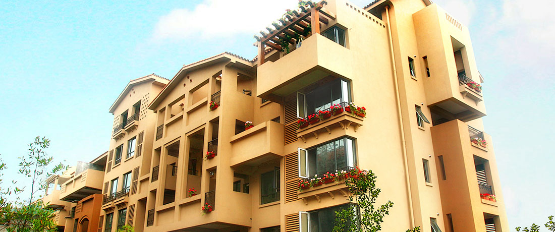 ����ͬ�˹���