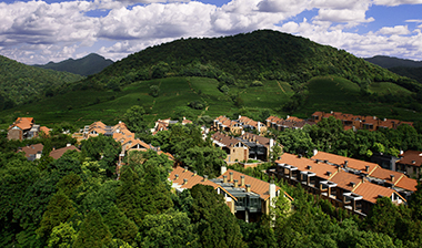 ����ͬ�˹���