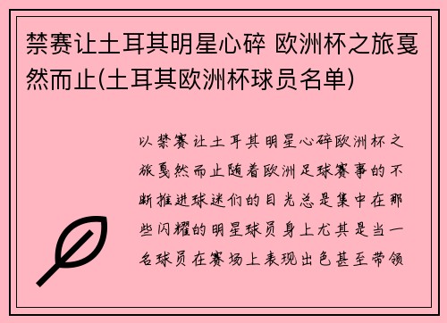 禁赛让土耳其明星心碎 欧洲杯之旅戛然而止(土耳其欧洲杯球员名单)