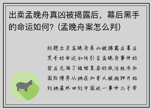 出卖孟晚舟真凶被揭露后，幕后黑手的命运如何？(孟晚舟案怎么判)