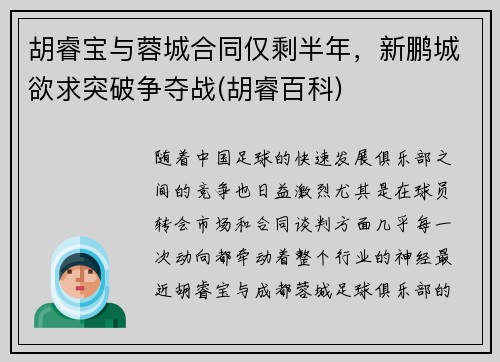 胡睿宝与蓉城合同仅剩半年，新鹏城欲求突破争夺战(胡睿百科)