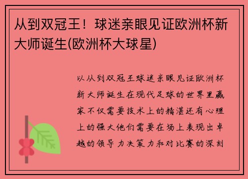 从到双冠王！球迷亲眼见证欧洲杯新大师诞生(欧洲杯大球星)