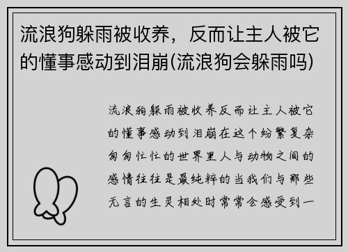 流浪狗躲雨被收养，反而让主人被它的懂事感动到泪崩(流浪狗会躲雨吗)